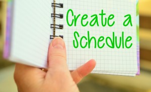 Schedule